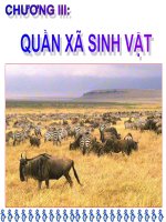 Giáo án điện tử sinh học:Sinh học lớp 12- Quần xã sinh vật và một số đặc trưng cơ bản của quần xã pptx