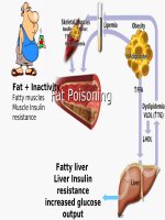 2006 diabetes vietnam compressed 12+