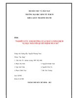 Tiểu luận nghiên cứu thị trường nghiên cứu ảnh hưởng của chất lượng dịch vụ hậu mãi tới quyết định mua xe