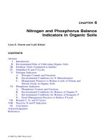 ORGANIC SOILS and PEAT MATERIALS for SUSTAINABLE AGRICULTURE - CHAPTER 6 pptx