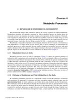 TOXICOLOGICAL CHEMISTRY AND BIOCHEMISTRY - CHAPTER 4 pdf