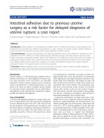 báo cáo khoa học: 