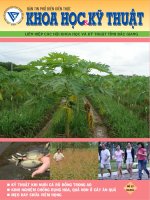 Bản tin phổ biến kiến thức khoa học và kỹ thuật số 12