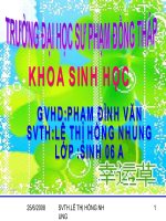 Giáo án điện tử sinh học: Sinh học 12-Nguyên Phân pdf