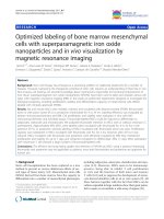 báo cáo khoa học: 