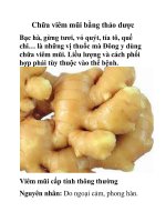 Chữa viêm mũi bằng thảo dược pptx