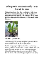 Bốn vị thuốc nhóm thảm thấp – trục thủy có tên ngưu pot