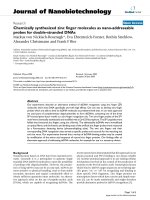 báo cáo khoa học: 