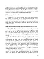 Công nghệ sinh học trong bảo vệ thực vật p3 pdf