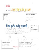 Giáo án mầm non chủ đề CÂY XANH