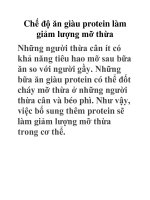 Chế độ ăn giàu protein làm giảm lượng mỡ thừa ppsx