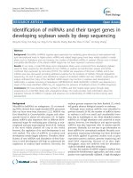 báo cáo khoa học: 