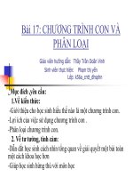 Bài 17: CHƯƠNG TRÌNH CON VÀ PHÂN LOẠI pot