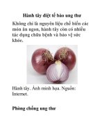 Hành tây diệt tế bào ung thư pptx