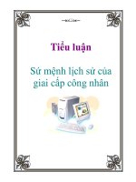 Tiểu luận: Sứ mệnh lịch sử của giai cấp công nhân pot