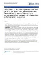 báo cáo khoa học: 