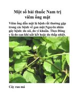 Một số bài thuốc Nam trị viêm ống mật pptx