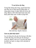 Vì sao bị lao cột sống potx