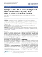 báo cáo khoa học: 