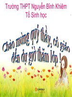 Giáo án điện tử sinh học: Sinh học 12-BIẾN ĐỘNG SỐ LƯỢNG CÁ THỂ CỦA QUẦN THỂ SINH VẬT pdf
