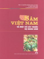 Sâm Việt Nam và một số cây thuốc họ nhân sâm part 1 ppt