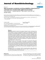 báo cáo khoa học: 