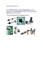 Thiet bi khi nen Pneumax - van cong nghiep Mival doc