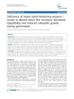 báo cáo khoa học: 