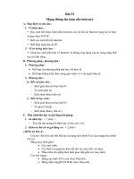 Bài 21 Mạng thông tin toàn cầu internet. potx