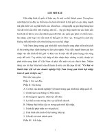 Hội nhập kinh tế quốc tế hiện của doanh nghiệp Việt Nam potx