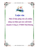 Luận văn: Một số biện pháp chủ yếu nhằm nâng cao hiệu quả sản xuất kinh doanh ở Công ty TNHH Thái Dương pps