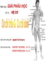 Giáo án điện tử môn sinh học: Sinh học lớp 12- Bài giảng công nghệ sinh học doc