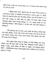 Sổ tay trồng và chăm sóc một số chủng loại cây ăn quả part 7 pps