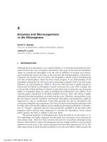 Enzymes in the Environment: Activity, Ecology and Applications - Chapter 4 potx