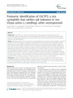 báo cáo khoa học: 