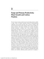 FUNGI IN ECOSYSTEM PROCESSES - CHAPTER 3 pot