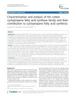 báo cáo khoa học: 