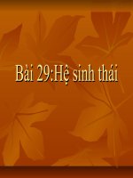 Giáo án điện tử sinh học: Sinh học lớp 12- Hệ Sinh Thái(Tiếp Theo) doc