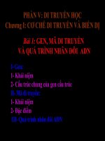 Giiáo án điện tử môn sinh học: Sinh học lớp 12- Quá Trình nhân đôi AND pot