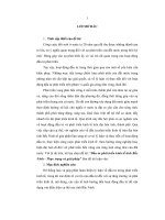 Đầu tư phát triển kinh tế tỉnh bắc ninh    thực trạng và giải pháp