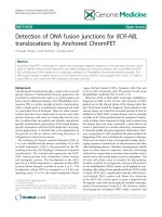 báo cáo khoa học: 