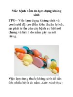 Mắc bệnh nấm do lạm dụng kháng sinh pdf