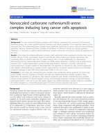 báo cáo khoa học: 