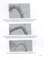 Sổ tay nghệ nhân cây cảnh part 3 docx