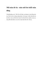 Môi màu đỏ tía - màu môi hot nhất mùa đông docx