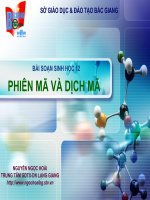 Giáo án điện tử môn sinh học:Sinh học lớp 12 doc