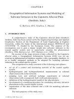 COASTAL AQUIFER MANAGEMENT: monitoring, modeling, and case studies - Chapter 9 doc