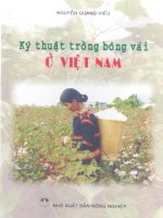 Kỹ thuật trồng bông vải ở Việt Nam part 1 potx