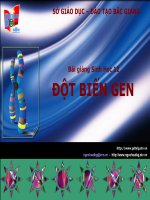 Giáo án điện tử môn sinh học: Sinh Học lớp 12- Cực Hay pptx