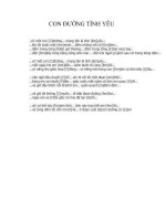 HỢP ÂM BÀI CON ĐƯỜNG TÌNH YÊU pptx